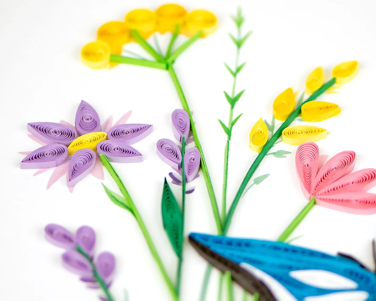 Butterfly & Wildflowers
