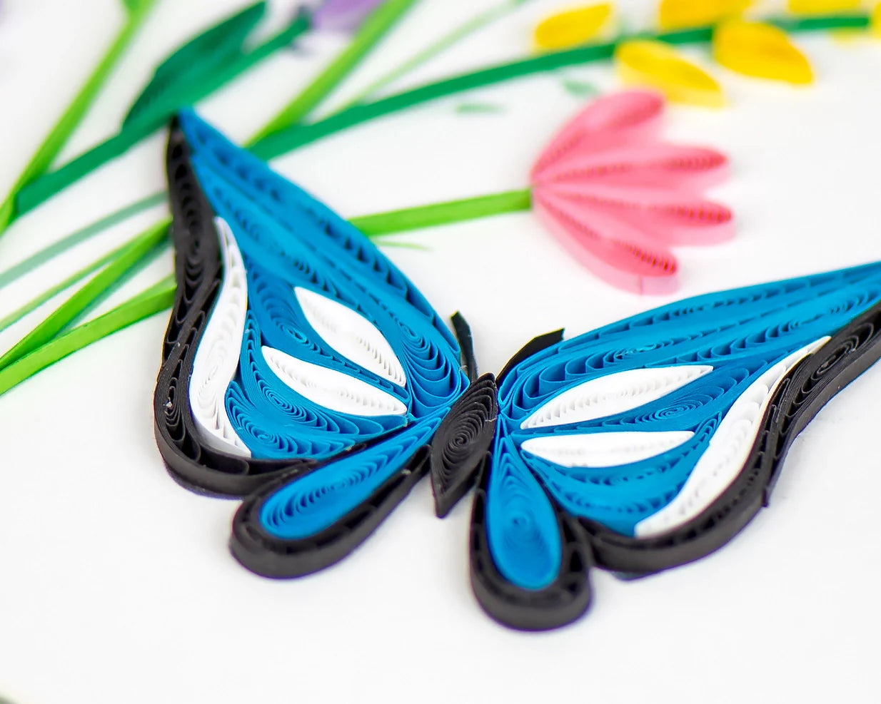 Butterfly & Wildflowers