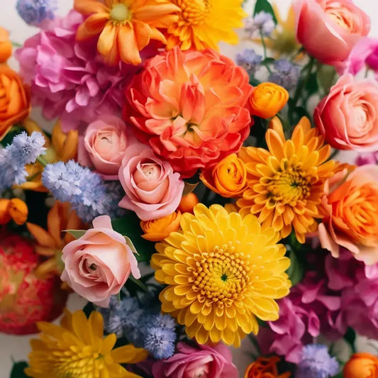 Designer’s Choice – Bright & Bold Palette