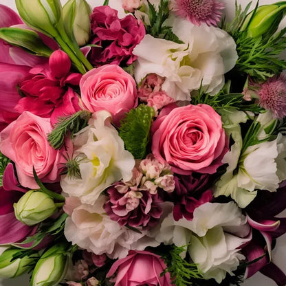 Designer’s Choice – Pink & Green Palette