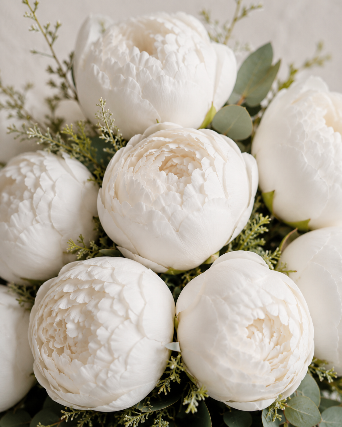 Fleur Blanche