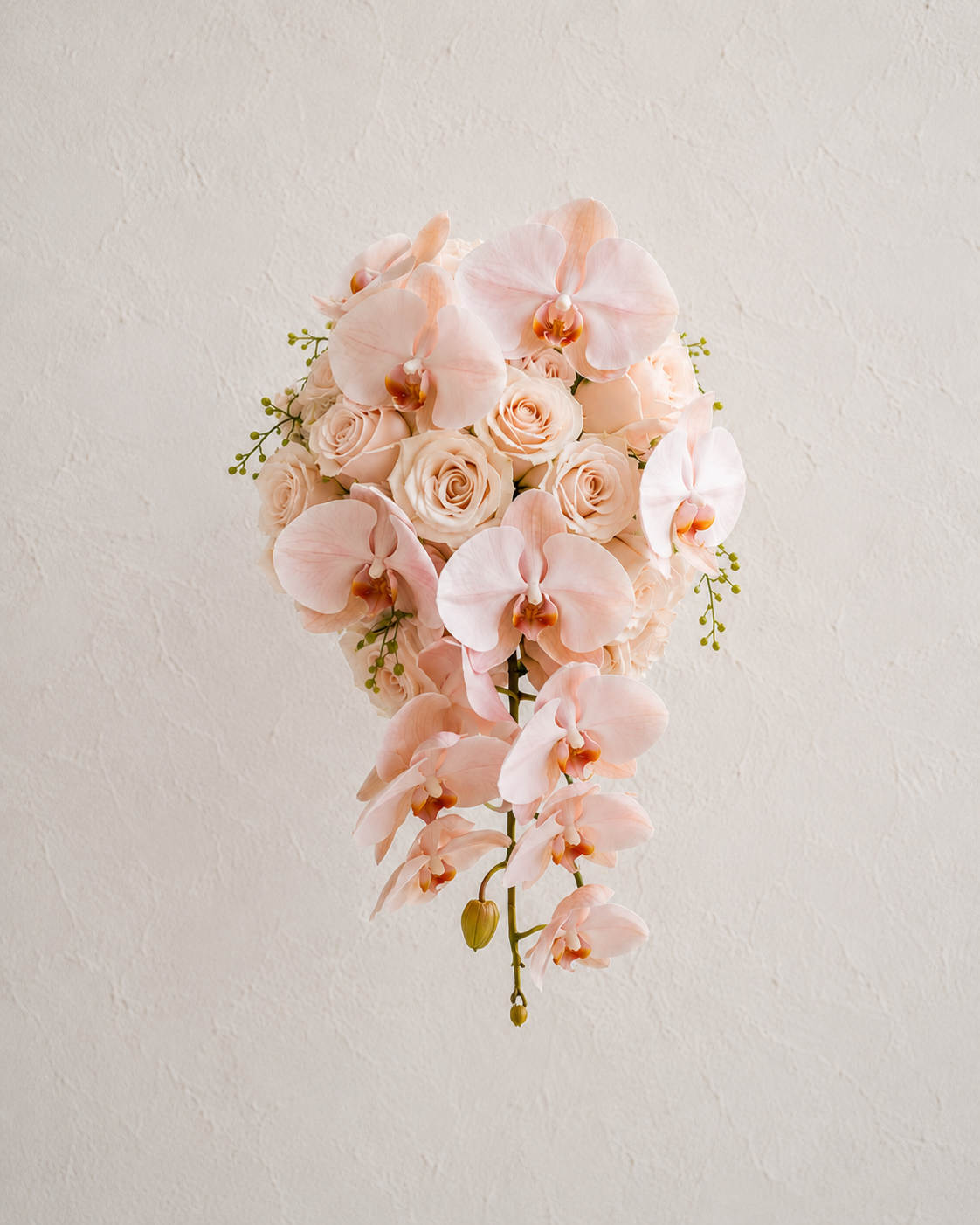 Ciel Rose