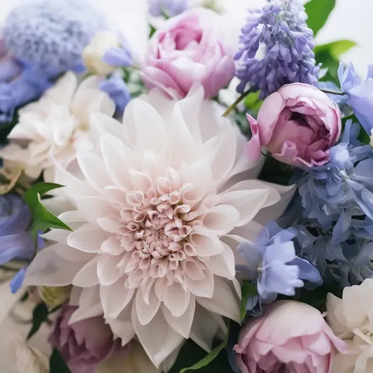 Designer’s Choice – Cool Tones Palette