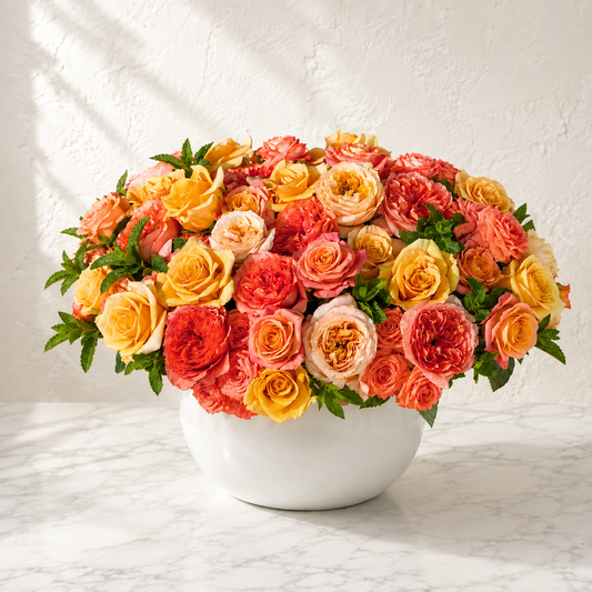 Rose Extravaganza