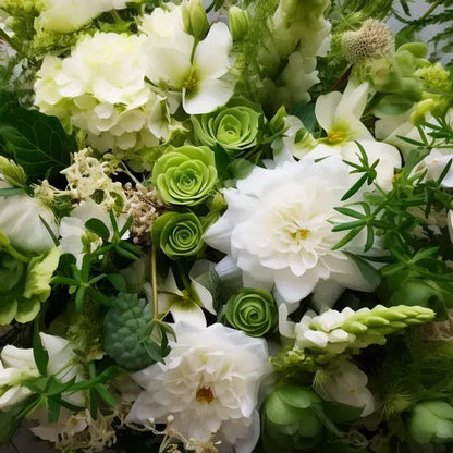 Designer’s Choice - White & Green