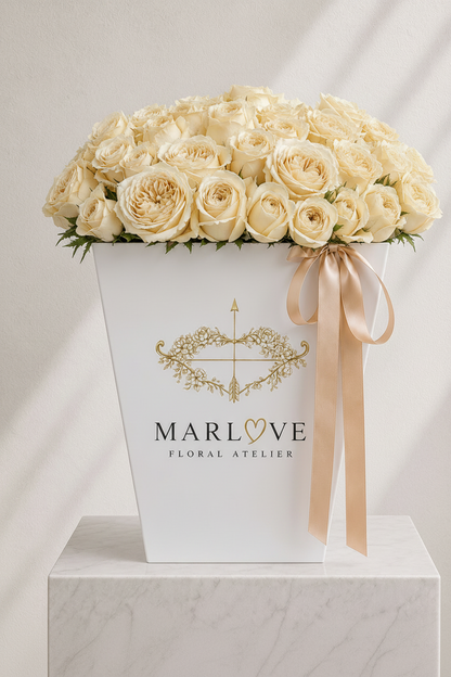 Premium  Rose Collection - Cream