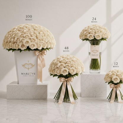 Premium  Rose Collection - Cream