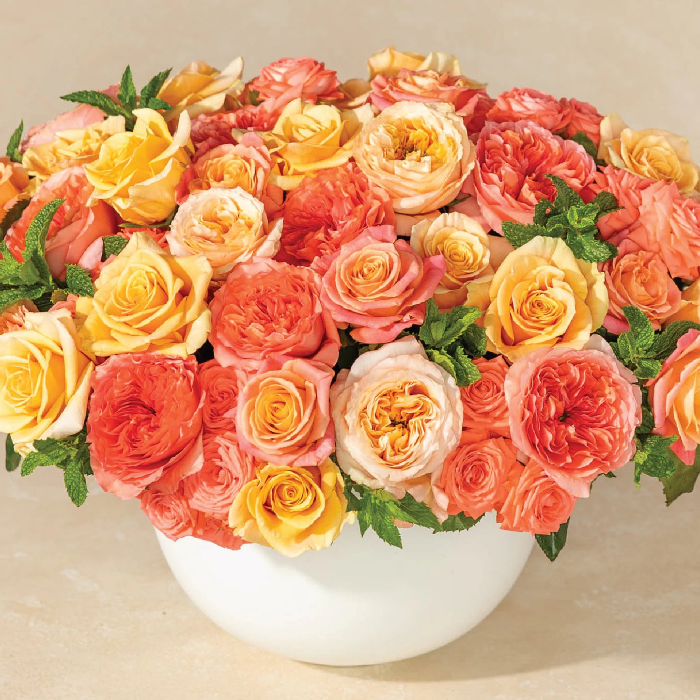 Rose Extravaganza