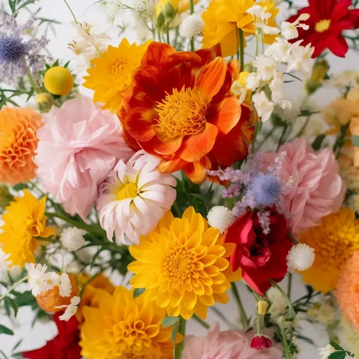 Designer's Choice - Summer Color Palette