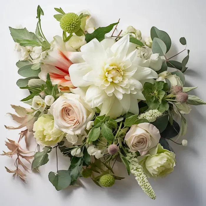 Designer’s Choice - Sympathy