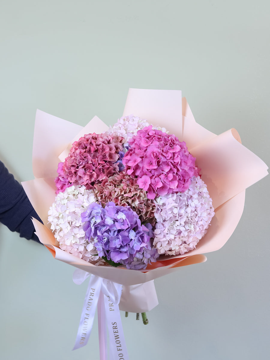 Mixed Hydrangea Bouquet