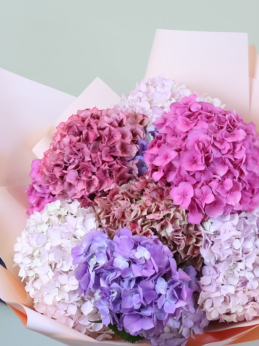 Mixed Hydrangea Bouquet