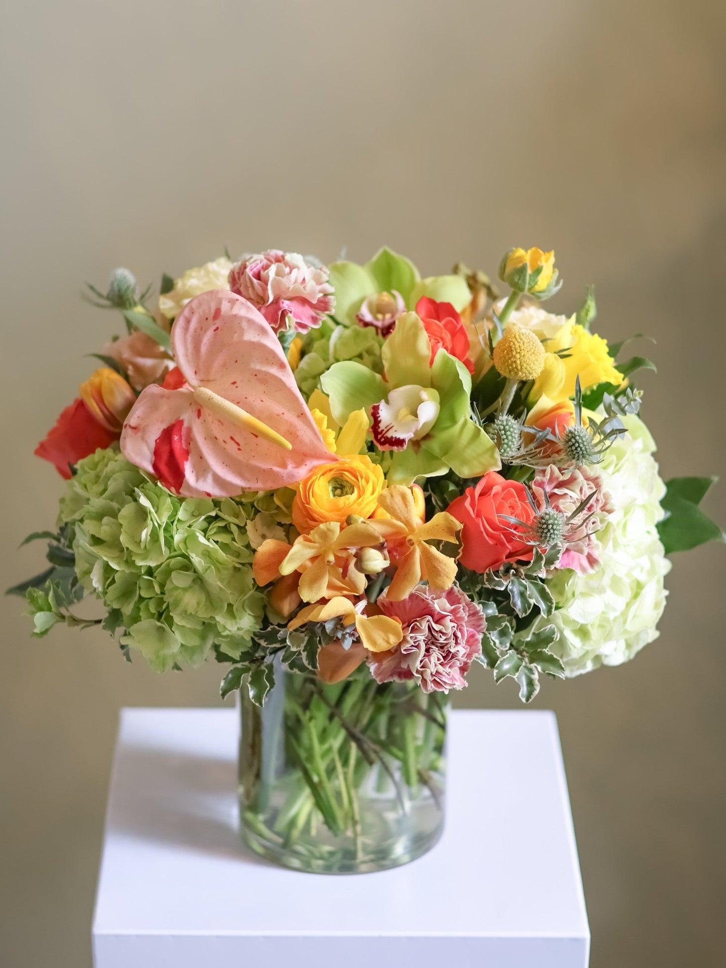 Spring Touch